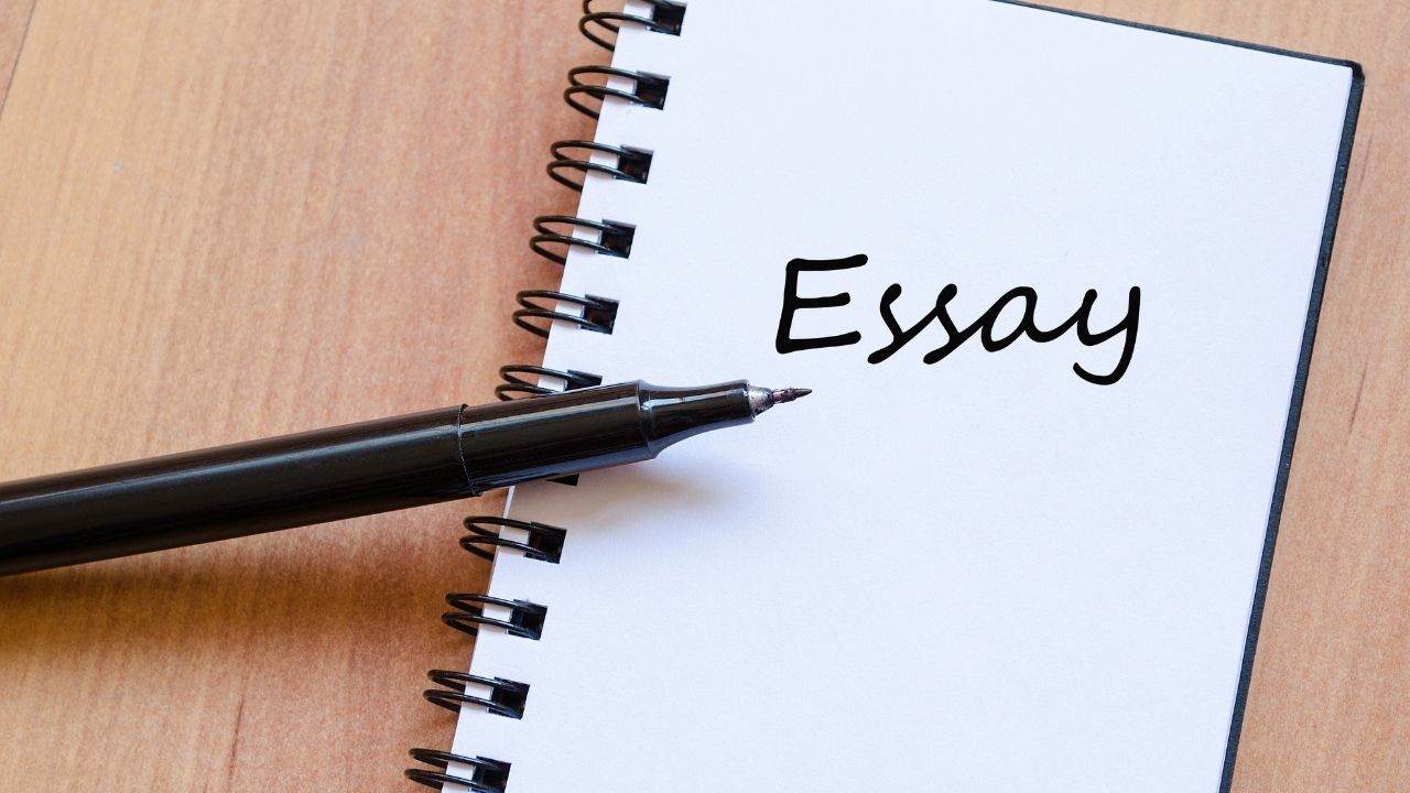 quick essay writers free